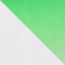 WHITE / NEON GREEN / BLACK