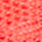 NEON RED / SILVER / BLACK