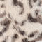 ECRU / DARK BROWN
