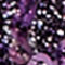 BLEU FONCÉ / LILAS