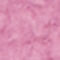 FUCHSIA / ROSA
