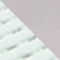MINT / DARK BROWN / LIGHT PURPLE