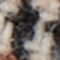 BEIGE / BRUIN / BLAUW