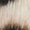 MARRON FONCÉ / OR / CRÈME