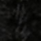 NEGRU