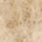 BEIGE / MARRON CLAIR