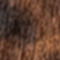 BRUIN / ZWART