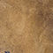 BEIGE / DUNKELBLAU