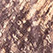 BEIGE / TAUPE