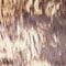 BEIGE / TAUPE