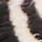SCHWARZ / WEISS