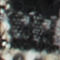 NOIR / CRÈME / GRIS