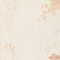 CREME / BEIGE / HELLLILA