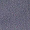 479 OPEN BLUE