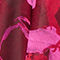344 CRANBERRY