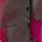 ROOD / ROZE / DONKERROOD