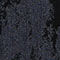 7355 night sky
