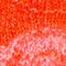 ORANGE / DUNKELBRAUN / ROSA