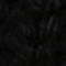 BLACK / ECRU
