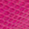 ROSE FUCHSIA