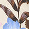 CREME / DUNKELBRAUN / BLAU