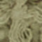KAKI
