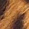 COGNAC / SCHWARZ
