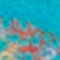 BLAU / ROSA / GRÜN