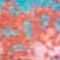 BLAU / ROSA / GRÜN