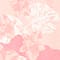 PINK/ ROSA/ WEISS