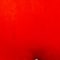 ORANGE/ DUNKELBLAU