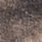 BEIGE/ SCHWARZ