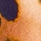 BEIGE/ DUNKELBLAU/ GELB