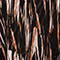 SCHWARZ/ DUNKELORANGE/ CREME