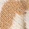 CREME/ CAMEL