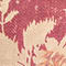 001 Red / Neutral Flower