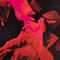 SCHWARZ/ ROT