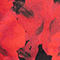 ROT/ HELLROT/ SCHWARZ