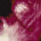 ECRU/ FUCHSIA/ SCHWARZ