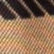 SCHWARZ/ BEIGE