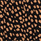 SCHWARZ/ CAMEL