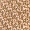 BEIGE/ OLIV