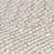 CREME/ GOLD/ SILBER