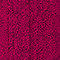 FUCHSIA/ SCHWARZ