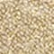 GOLD/ BEIGE