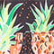 NEONGRÜN/ ORANGE/ SCHWARZ