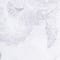 WEISS/ GRAU