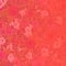 224 tomato