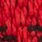 8255 RED GREEN MULT/N.ACE