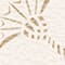 BEIGE/ CREME
